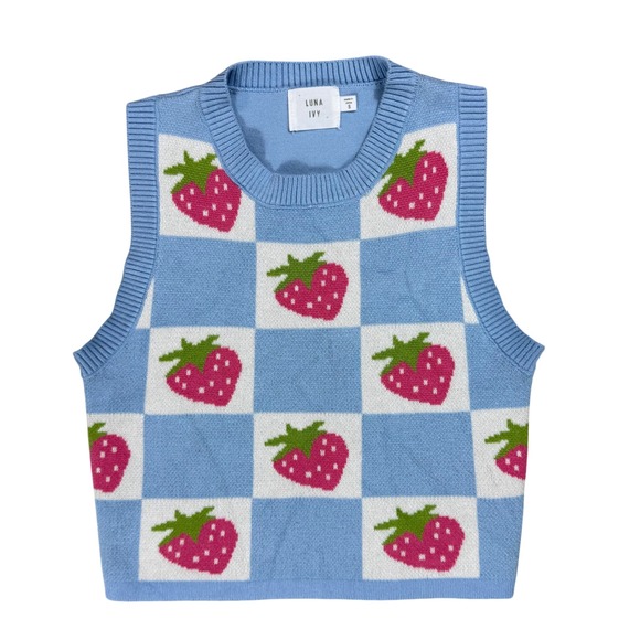 Luna Ivy Sweaters - S Luna Ivy Strawberry Checkered Sweater Vest Preppy Kawaii Coquette Academia